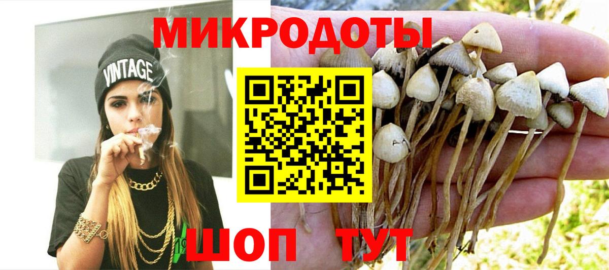 Галлюциногенные грибы мухоморы  Вход с VPN  Елабуга 