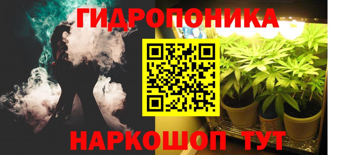 Марихуана планчик  МАРИХУАНА Bruce Banner  Вход с VPN  Бошки марихуана конопля  Елабуга 